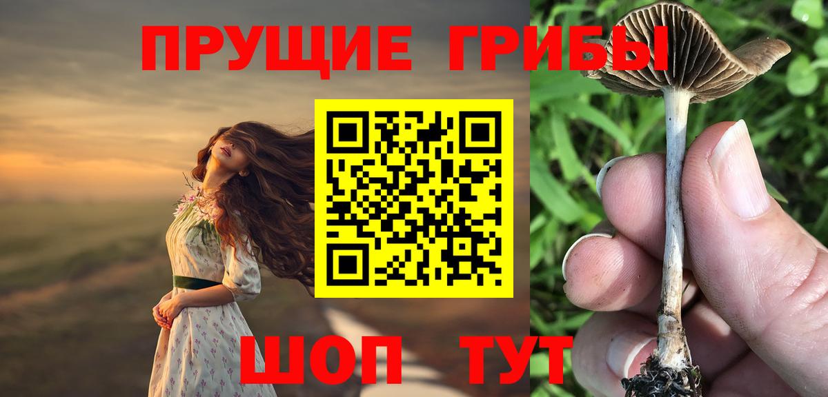 Кимовск  Галлюциногенные грибы прущие грибы  Вход с VPN 